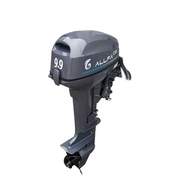Лодочный мотор ALLFA CG T9.9 FWS