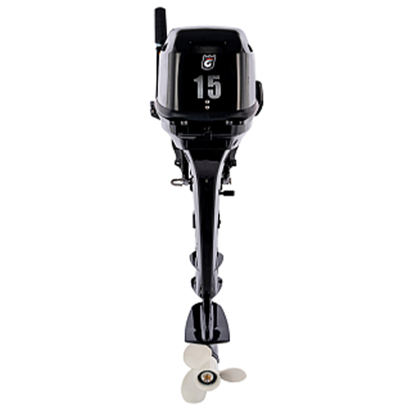 Лодочный мотор GOLFSTREAM F 15 BMS