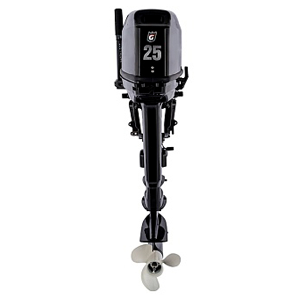 1 Лодочный мотор GOLFSTREAM T 25 BMS
