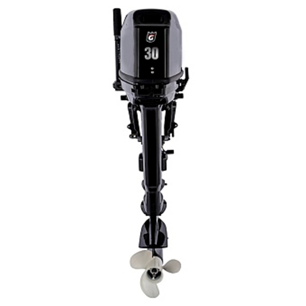 1 Лодочный мотор GOLFSTREAM T 30 ABMS