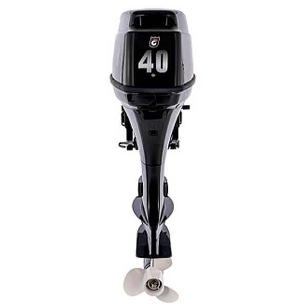 Лодочный мотор GOLFSTREAM T 40 FWL-T