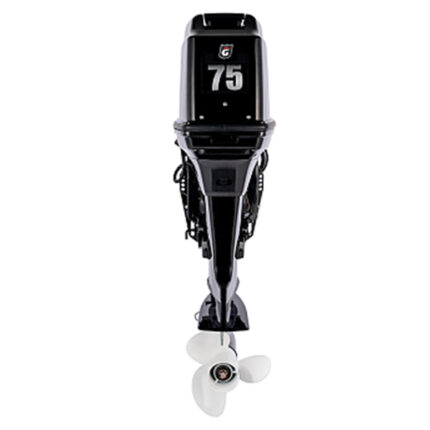 Лодочный мотор GOLFSTREAM T 75 FEL-T