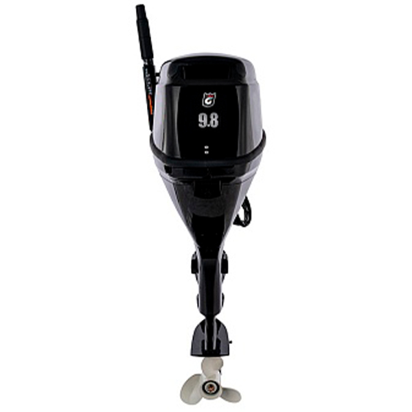 4cfa4061c4c574d882a1d41d90f4b9fe Лодочный мотор GOLFSTREAM F9.8BMS