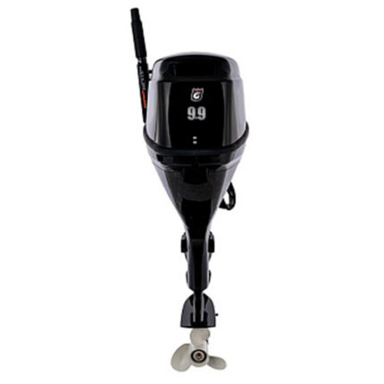 Лодочный мотор GOLFSTREAM F9.9BMS