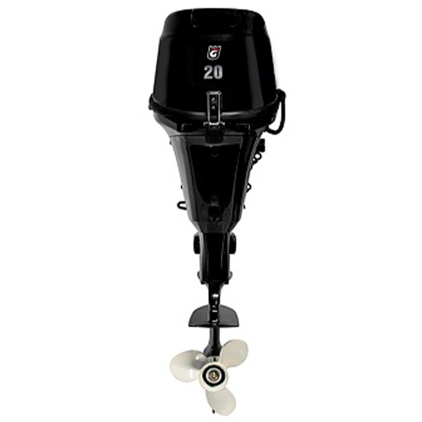 Лодочный мотор GOLFSTREAM F20AFWS