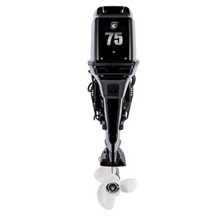Лодочный мотор GOLFSTREAM T 75 FEX-T