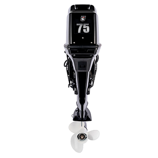 Лодочный мотор GOLFSTREAM T 75 FEX-T
